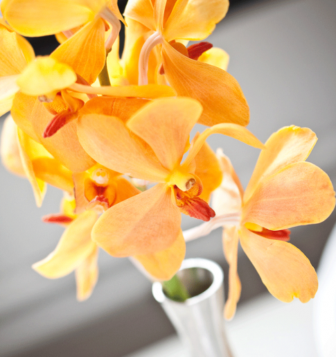 fresh yellow flowers that are in each guest bathroom.
