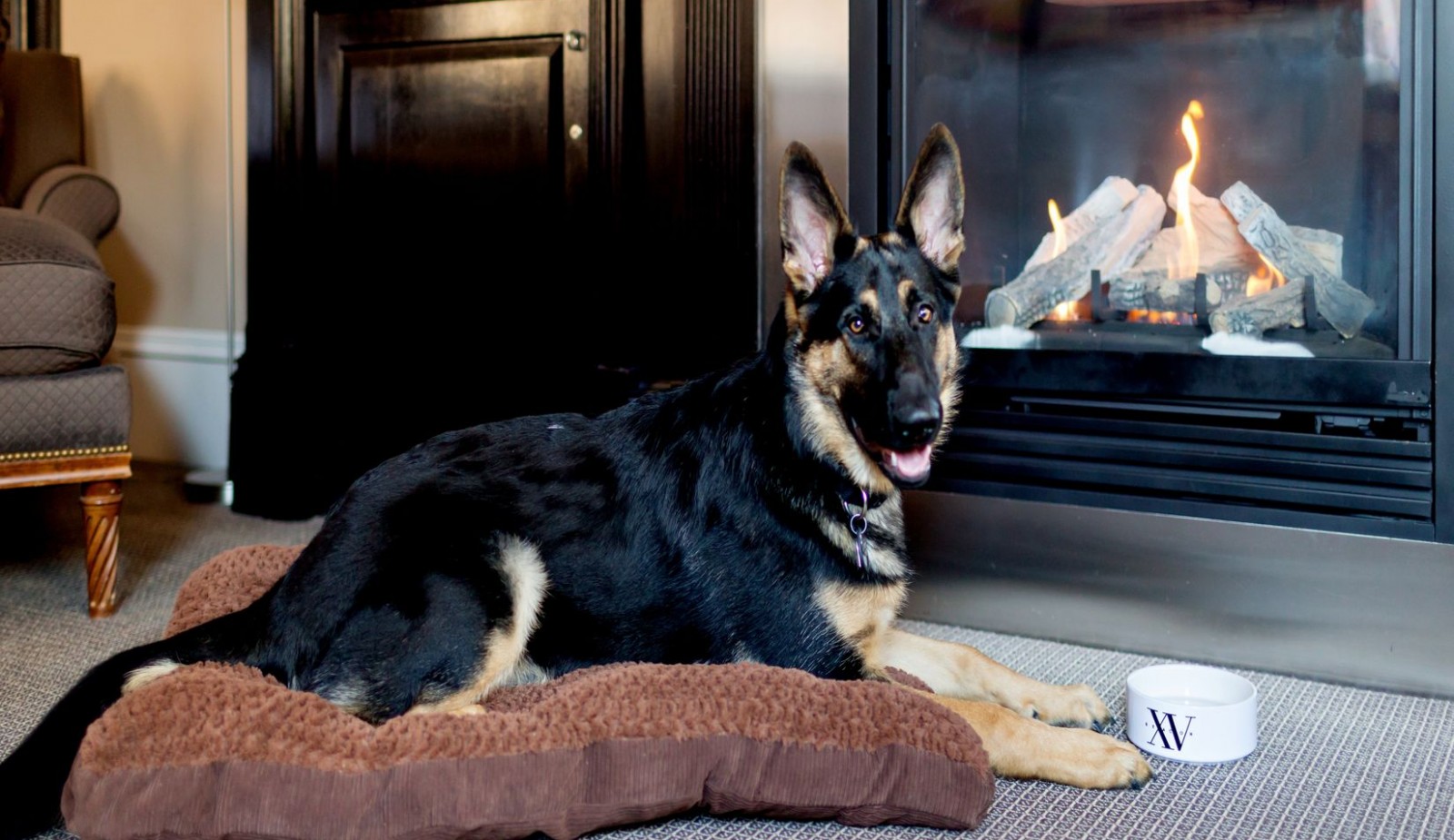German Shepard dog laying on one of our dog bed in front of the guestroom gas fireplace with our signature dog bowl