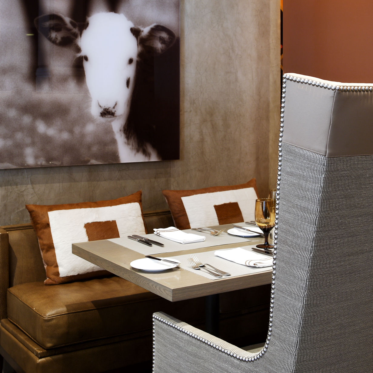 seating in Mooo... restaurant next to a cow in a pasture photograph