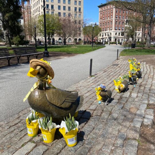 Boston Public Garden Duckling Statues
