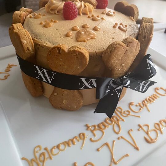 Dog Friendly Cake made with peanut butter and raspberries
