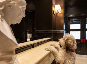 white dog with paws up on the front desk at XV Beacon Hotel